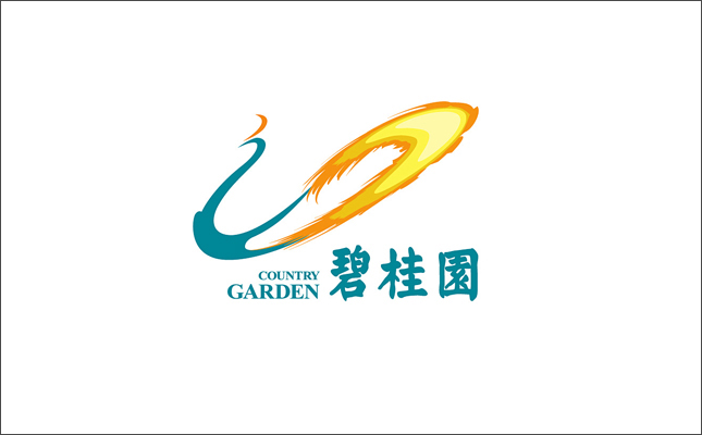 碧桂园控股有限公司